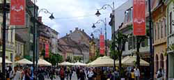 dscf5382.jpg